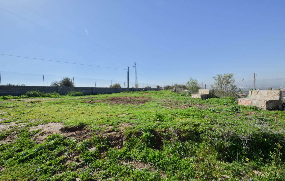 Venta - Fincas y solares - Pulianas - Calle Alameda