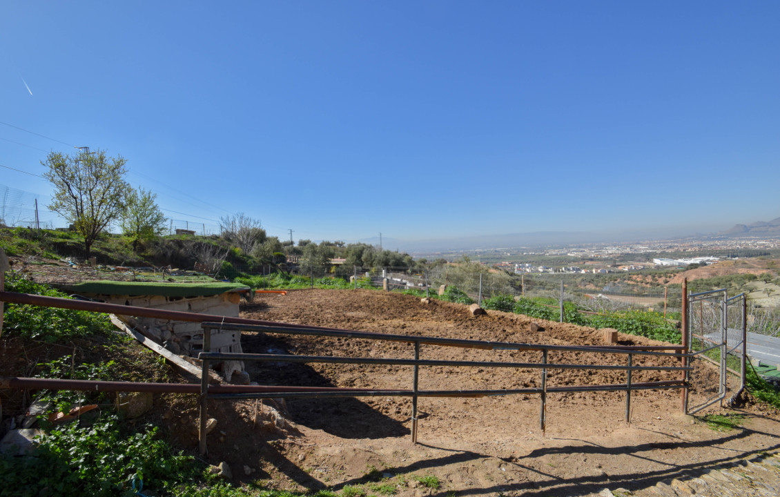 Venta - Fincas y solares - Pulianas - Calle Alameda