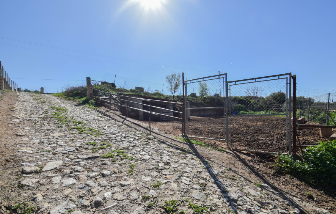 Venta - Fincas y solares - Pulianas - Calle Alameda