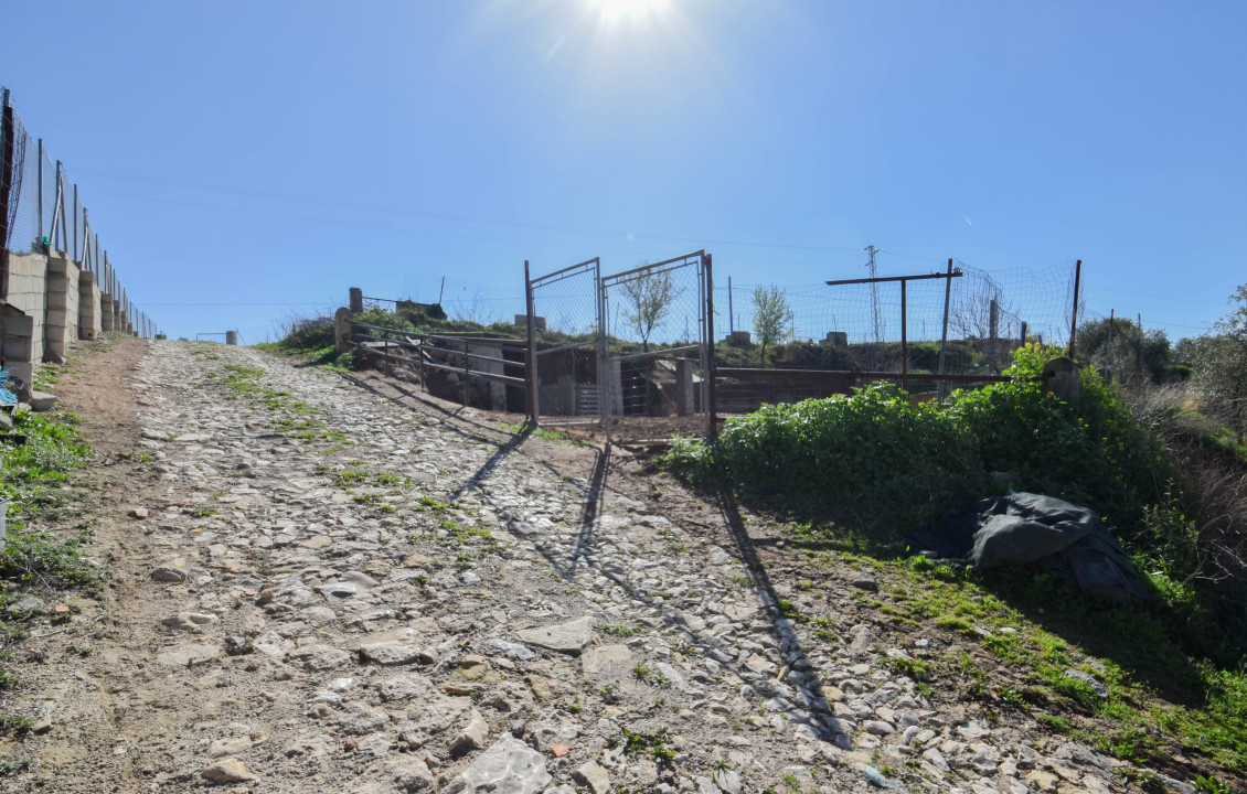 Venta - Fincas y solares - Pulianas - Calle Alameda