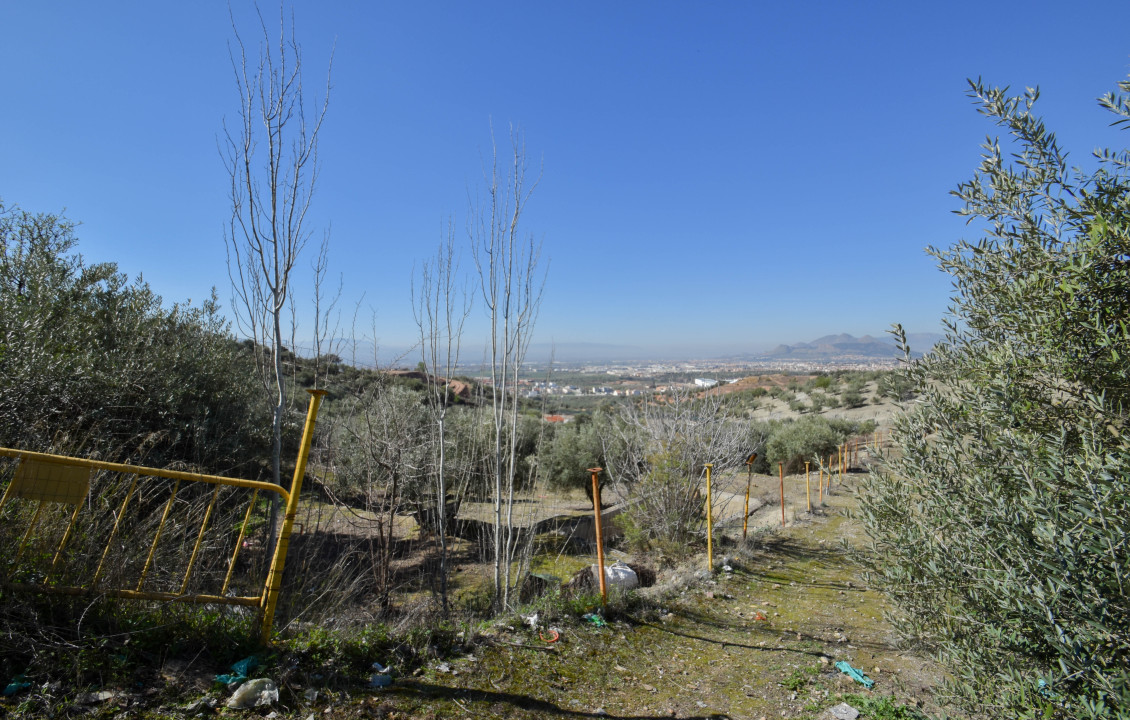 Venta - Fincas y solares - Pulianas - Calle Alameda