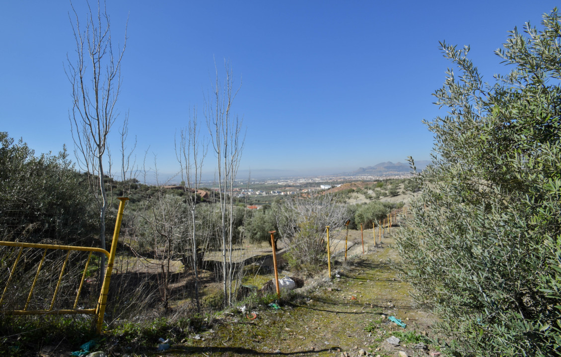 Venta - Fincas y solares - Pulianas - Calle Alameda