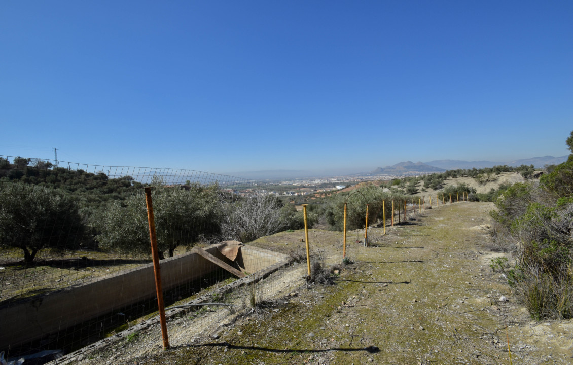 Venta - Fincas y solares - Pulianas - Calle Alameda