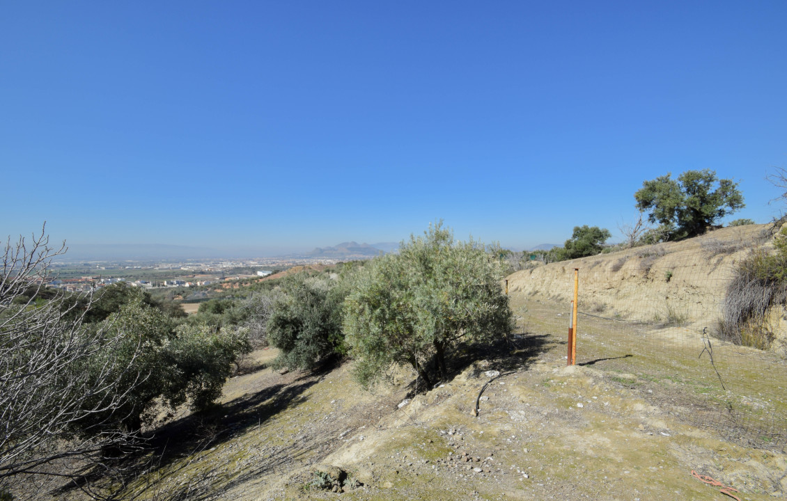 Venta - Fincas y solares - Pulianas - Calle Alameda