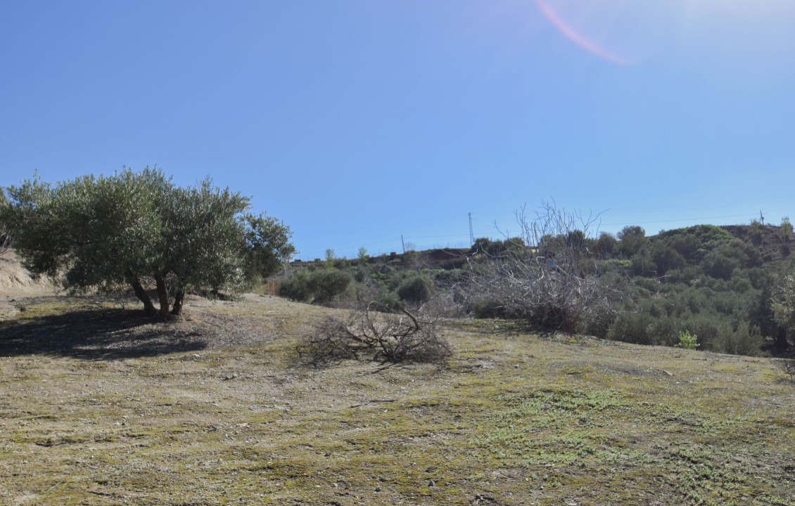 Venta - Fincas y solares - Pulianas - Calle Alameda