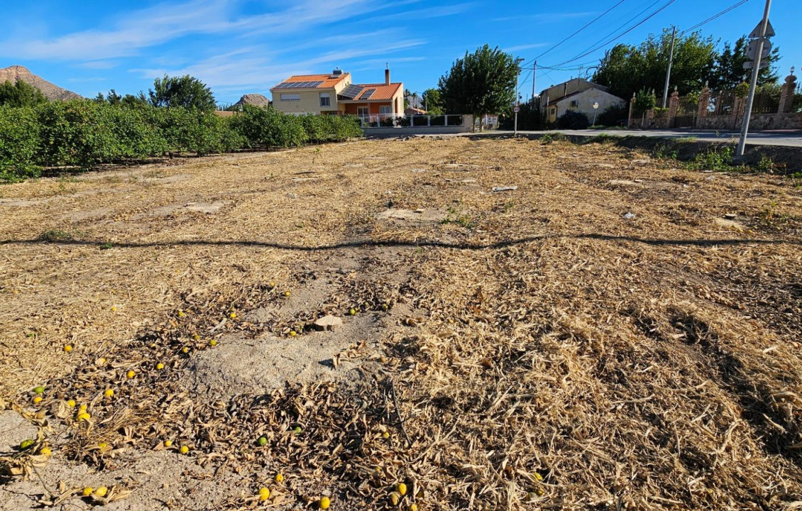 Venta - Fincas y solares - El Esparragal - Pitarque