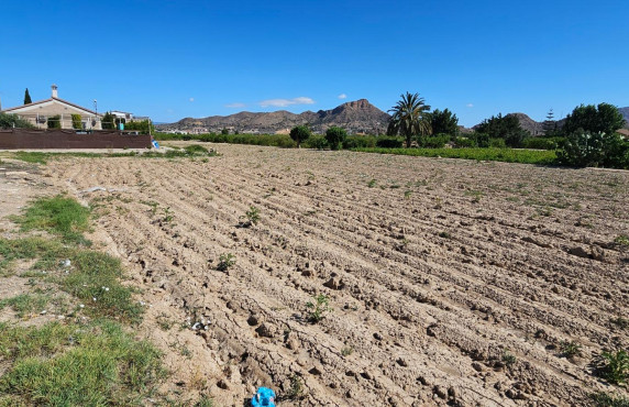 Venta - Fincas y solares - El Esparragal - Pitarque