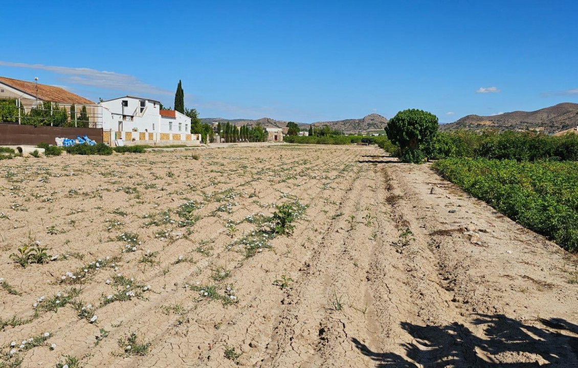 Venta - Fincas y solares - El Esparragal - Pitarque