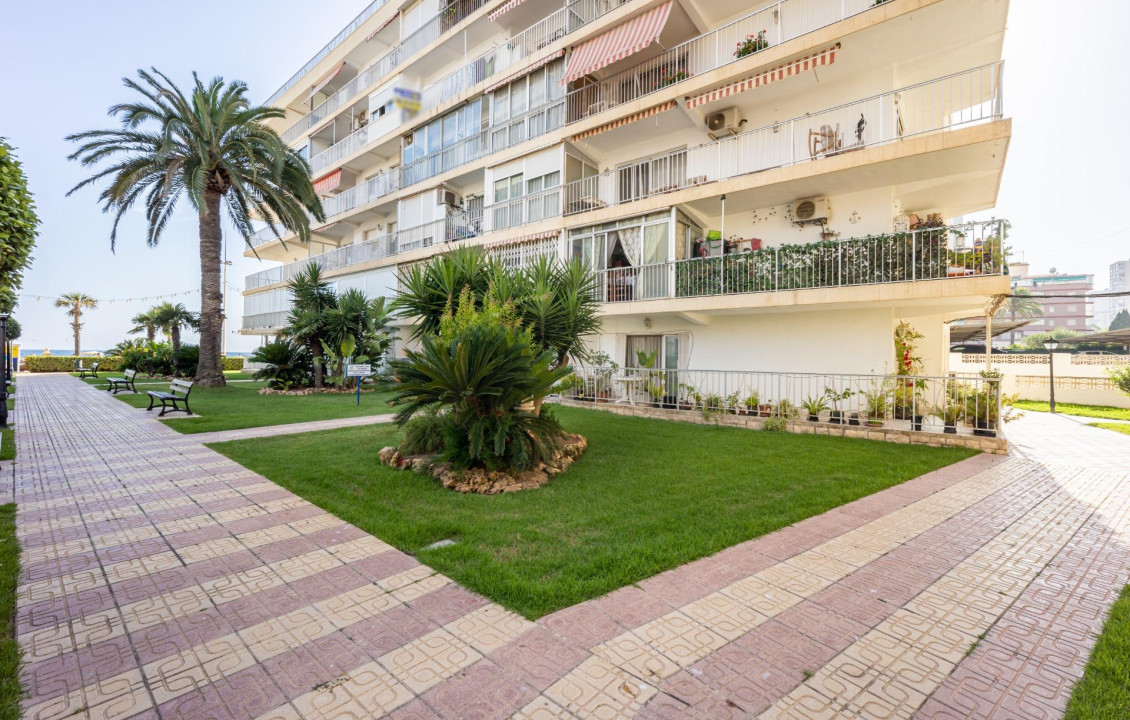 For Sale - Pisos - Benidorm - MADRID