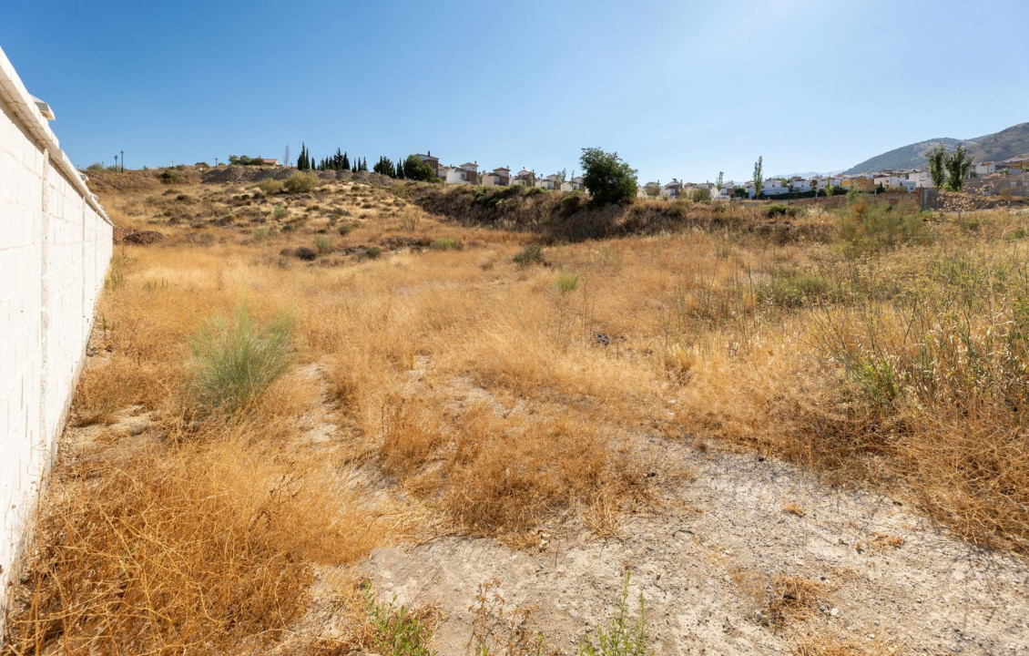 Venta - Fincas y solares - Dílar - Puntal de las Siete Lagunas