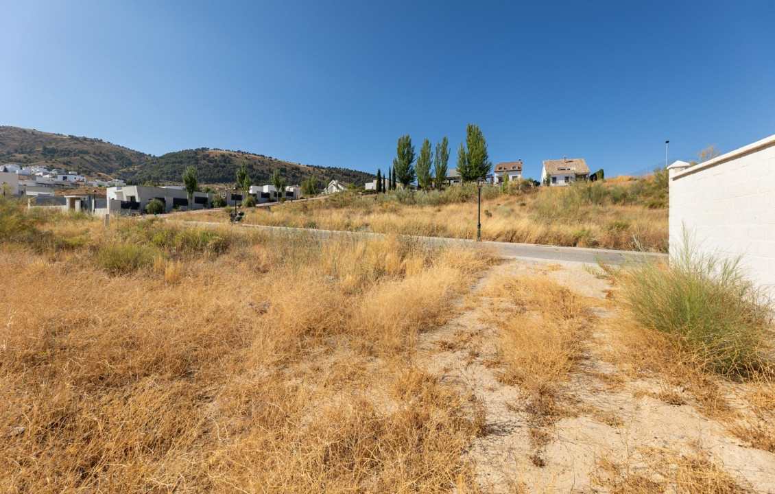 Venta - Fincas y solares - Dílar - Puntal de las Siete Lagunas