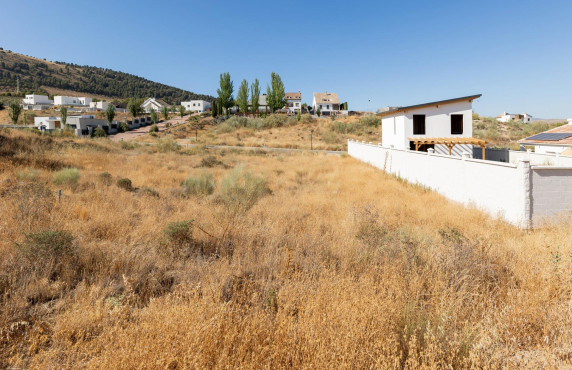 Venta - Fincas y solares - Dílar - Puntal de las Siete Lagunas