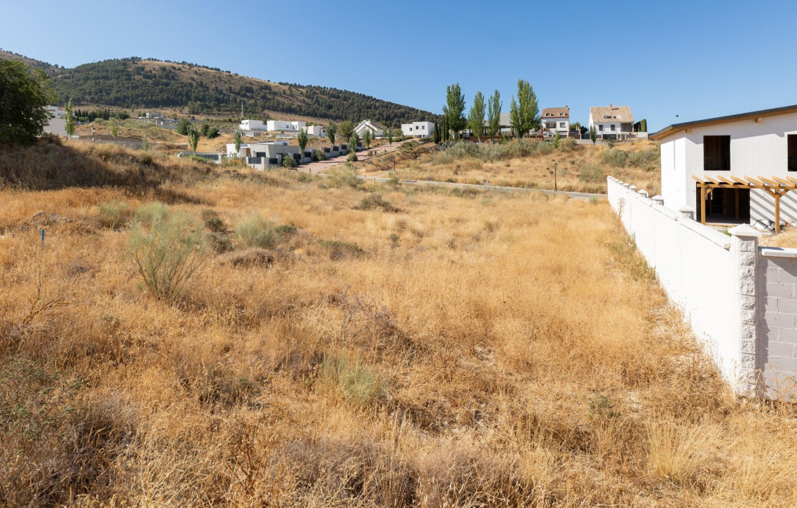 Venta - Fincas y solares - Dílar - Puntal de las Siete Lagunas