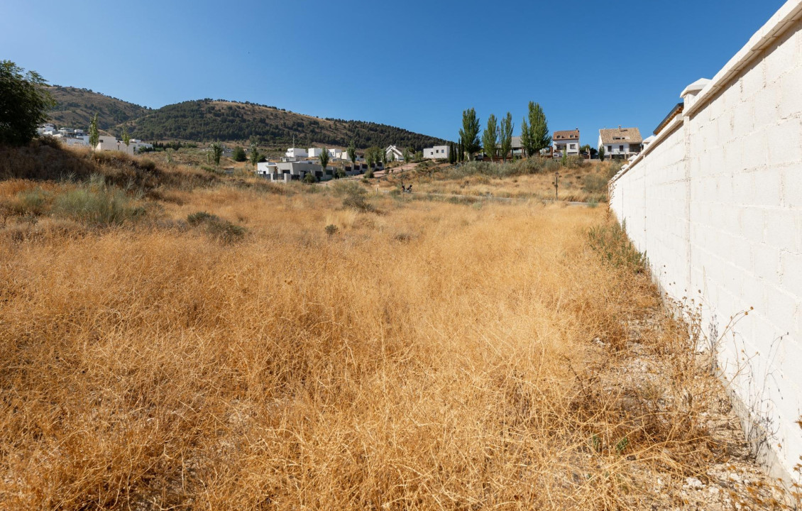 Venta - Fincas y solares - Dílar - Puntal de las Siete Lagunas