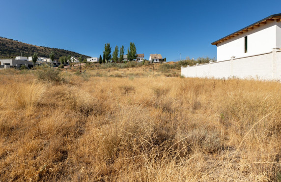 Venta - Fincas y solares - Dílar - Puntal de las Siete Lagunas