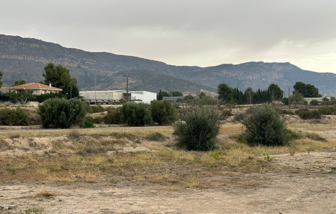 Venta - Fincas y solares - Blanca - Polígono 7 Parcela 91 ESTACION. BLANCA (MURCIA)