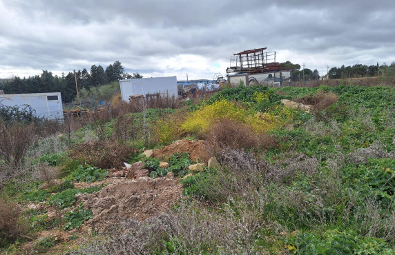 Venta - Fincas y solares - Valdeolmos-Alalpardo - PAEQUE