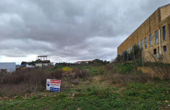 Venta - Fincas y solares - Valdeolmos-Alalpardo - PAEQUE