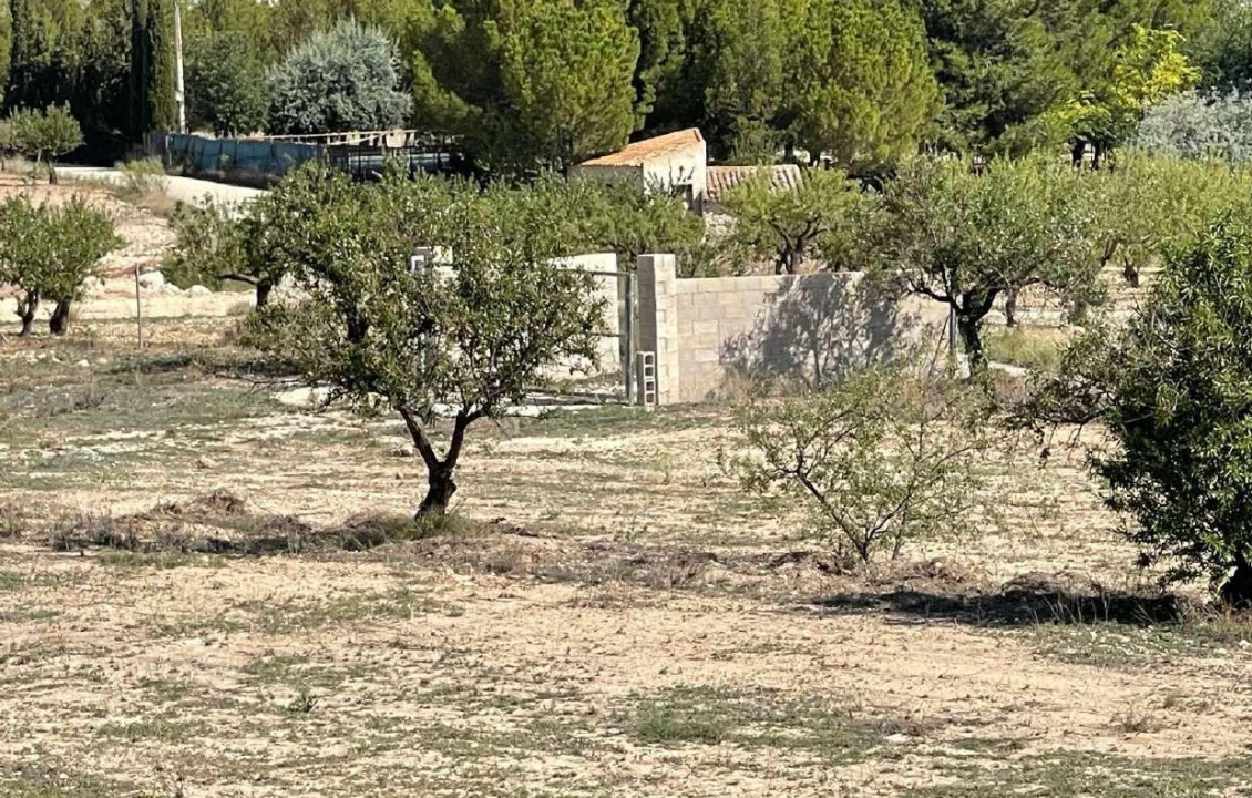 Venta - Fincas y solares - Moratalla - Polígono 161 Parcela 30 CASA PARVA. MORATALLA (MU