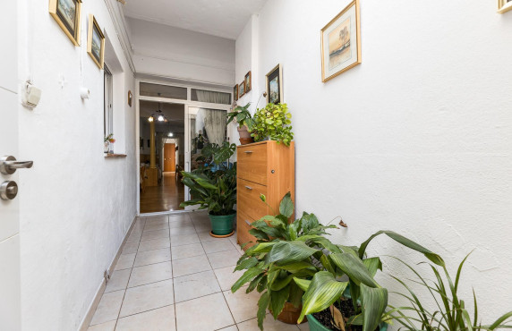 Venta - Pisos - Palma de Mallorca - PILAR MONTANER