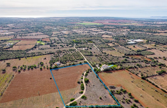 Venta - Fincas y solares - Ses Salines - poligono 6 parcelo 527