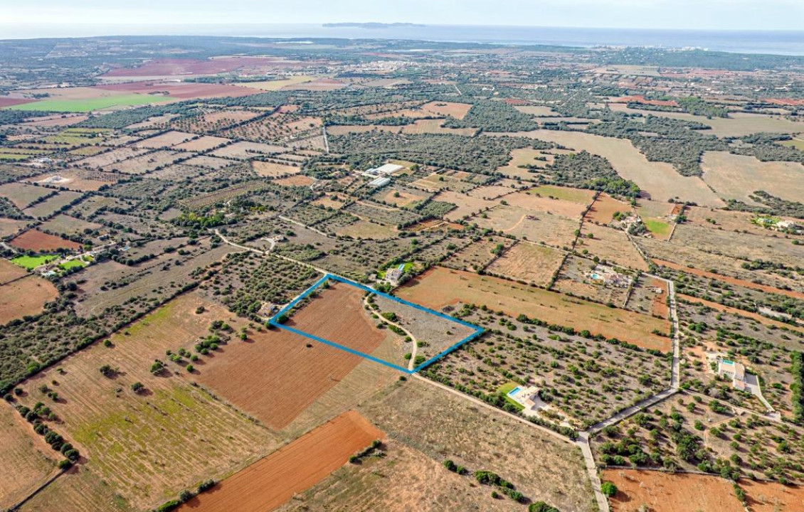 Venta - Fincas y solares - Ses Salines - poligono 6 parcelo 527