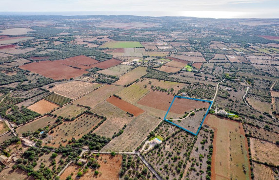 Venta - Fincas y solares - Ses Salines - poligono 6 parcelo 527