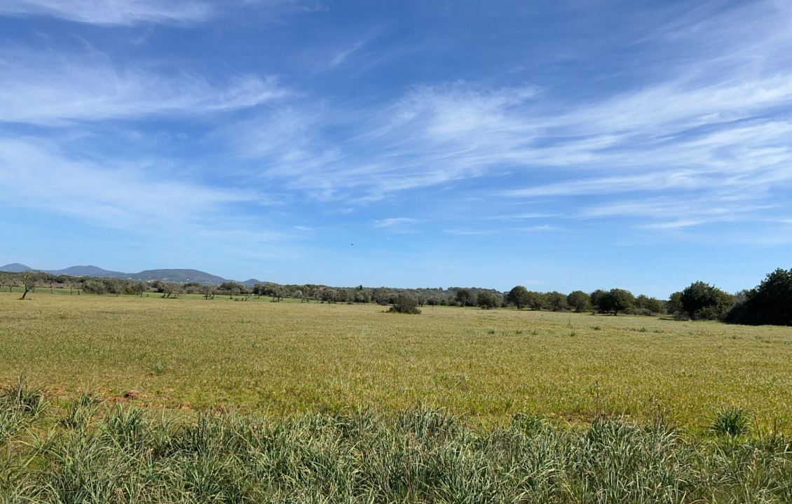 Venta - Fincas y solares - Ses Salines - poligono 6 parcelo 527