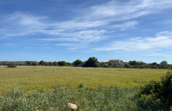 Venta - Fincas y solares - Ses Salines - poligono 6 parcelo 527