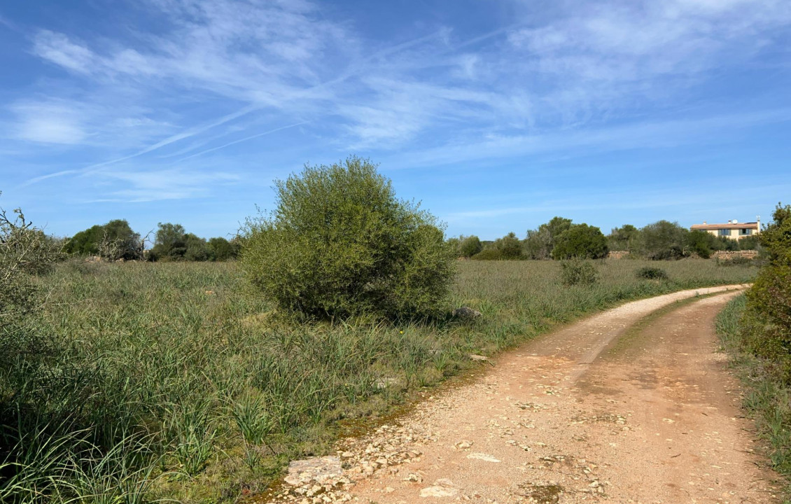 Venta - Fincas y solares - Ses Salines - poligono 6 parcelo 527