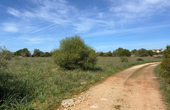 Venta - Fincas y solares - Ses Salines - poligono 6 parcelo 527