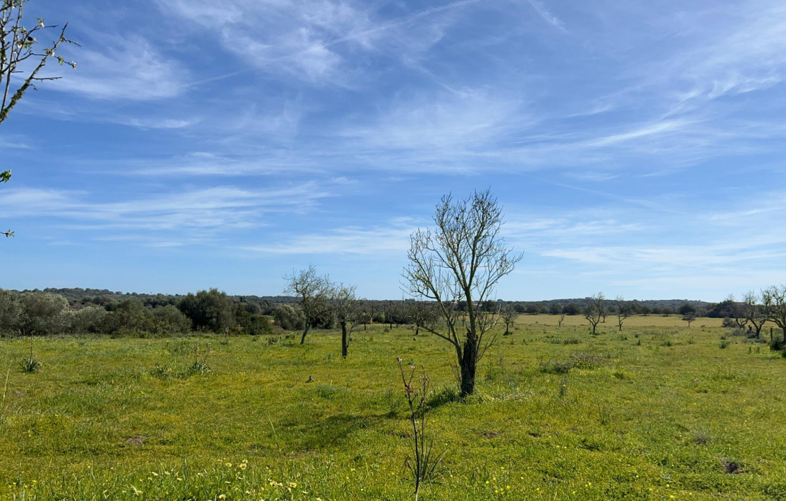 Venta - Fincas y solares - Ses Salines - poligono 6 parcelo 527