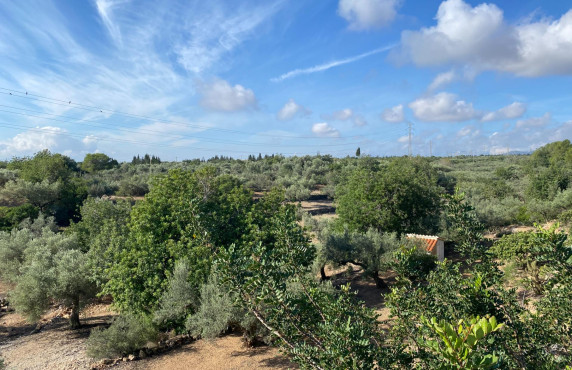 For Sale - Fincas y solares - L'Ampolla - DISEMINATS