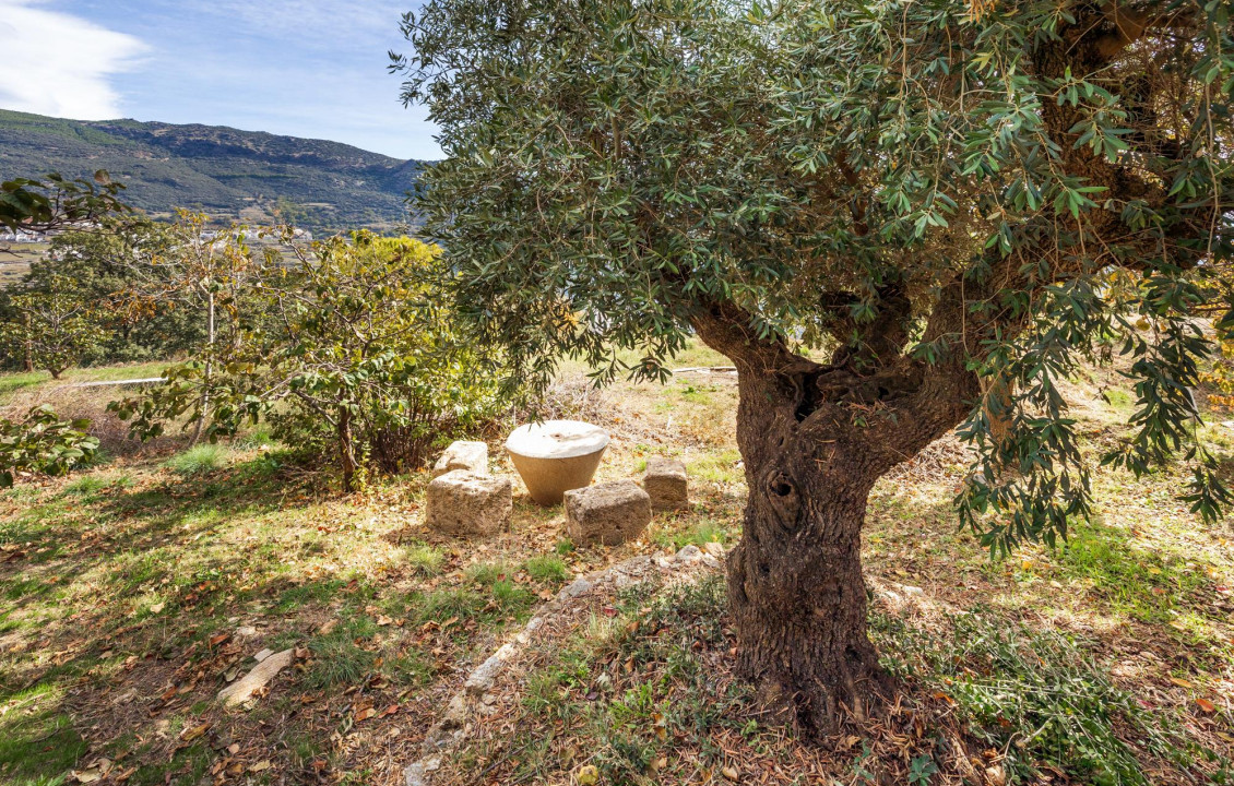 Venta - Casas o chalets - Pampaneira - Pago de la Lobera