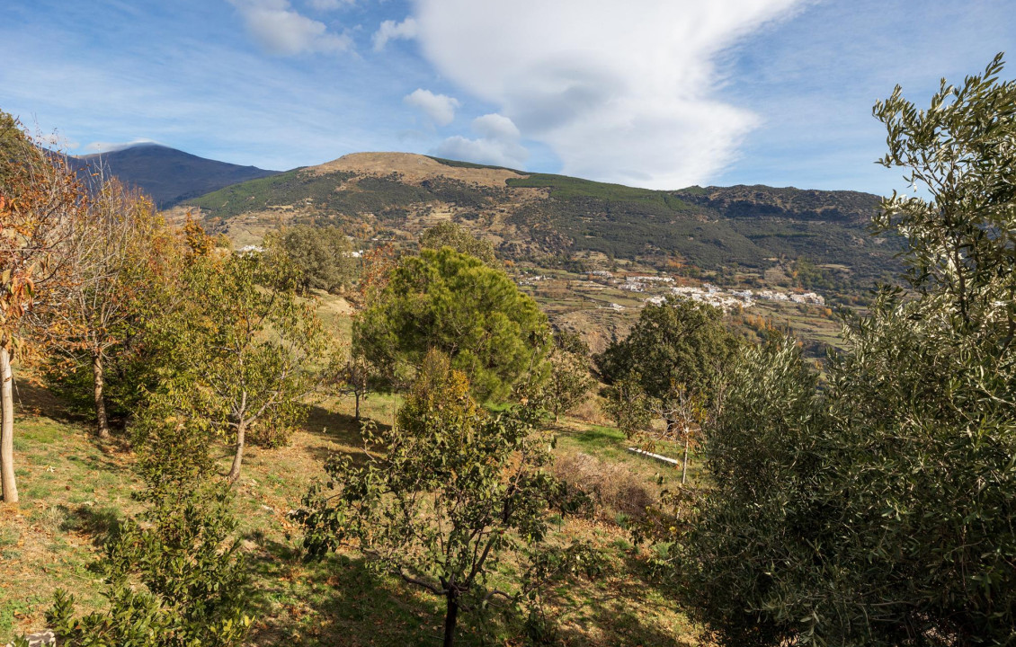 Venta - Casas o chalets - Pampaneira - Pago de la Lobera