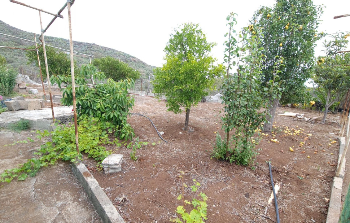 Venta - Casas o chalets - Vega de San Mateo - Lomo los Silos