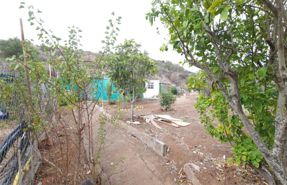 Venta - Casas o chalets - Vega de San Mateo - Lomo los Silos