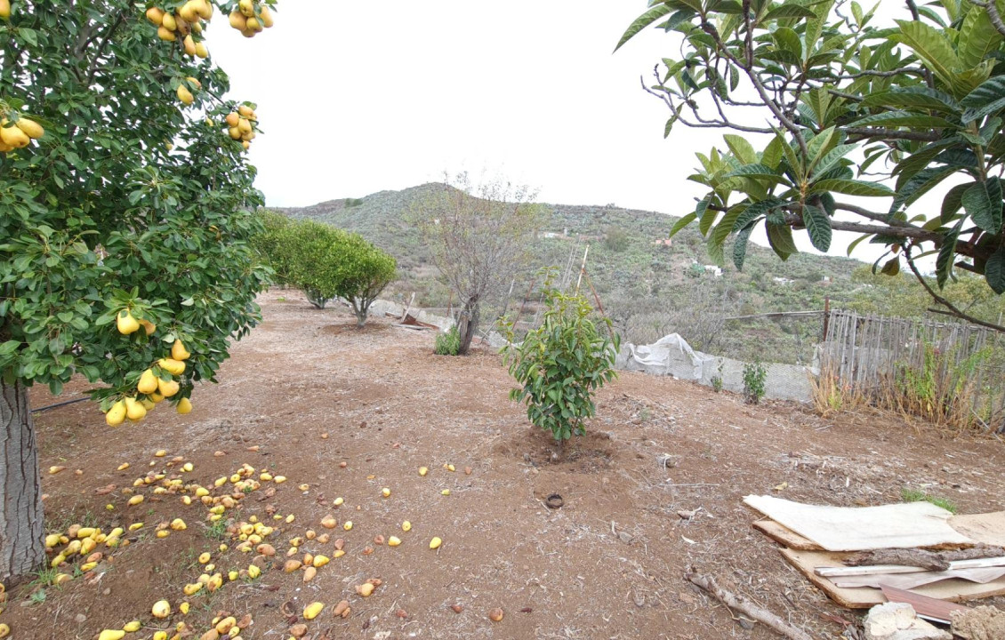 Venta - Casas o chalets - Vega de San Mateo - Lomo los Silos