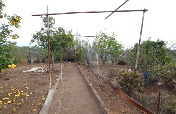 Venta - Casas o chalets - Vega de San Mateo - Lomo los Silos