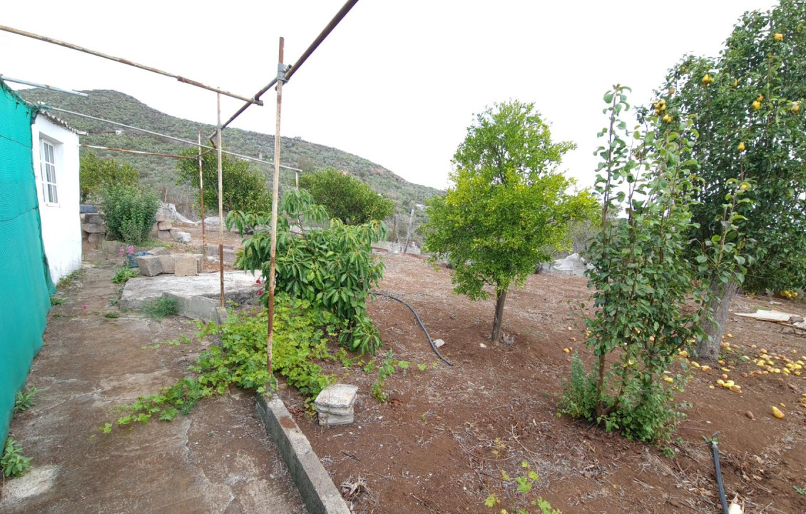 Venta - Casas o chalets - Vega de San Mateo - Lomo los Silos