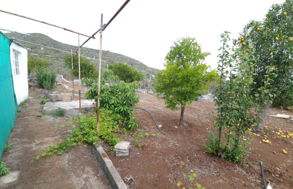 Venta - Casas o chalets - Vega de San Mateo - Lomo los Silos