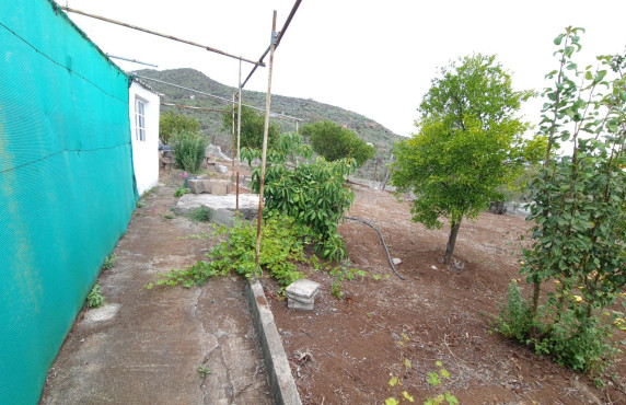 Venta - Casas o chalets - Vega de San Mateo - Lomo los Silos