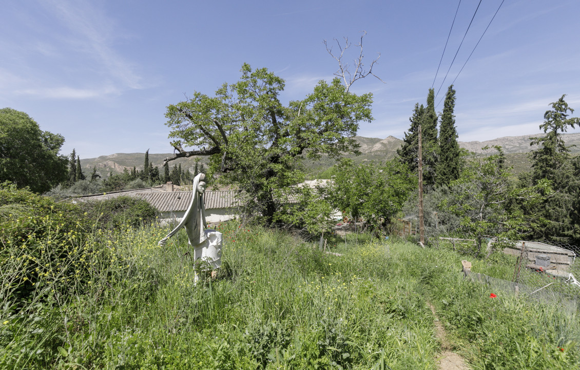 Venta - Fincas y solares - Dúdar - Aguas Blancas