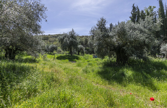 Venta - Fincas y solares - Dúdar - Aguas Blancas