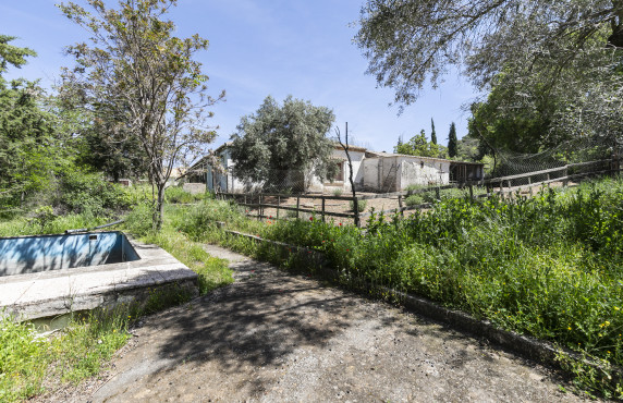 Venta - Fincas y solares - Dúdar - Aguas Blancas