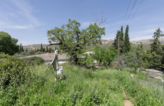 Venta - Fincas y solares - Dúdar - Aguas Blancas