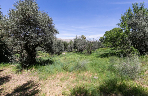 Venta - Fincas y solares - Dúdar - Aguas Blancas