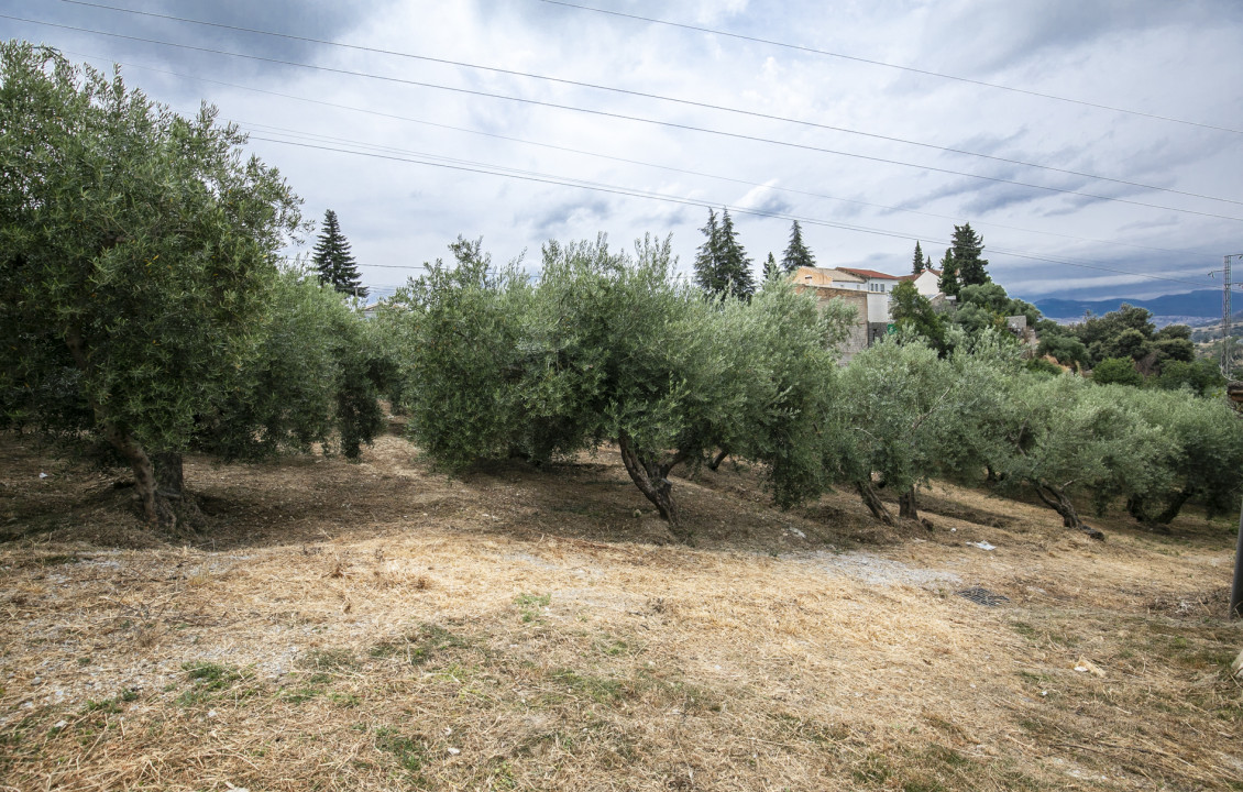 For Sale - Fincas y solares - Huétor de Santillán - del Molino Alto