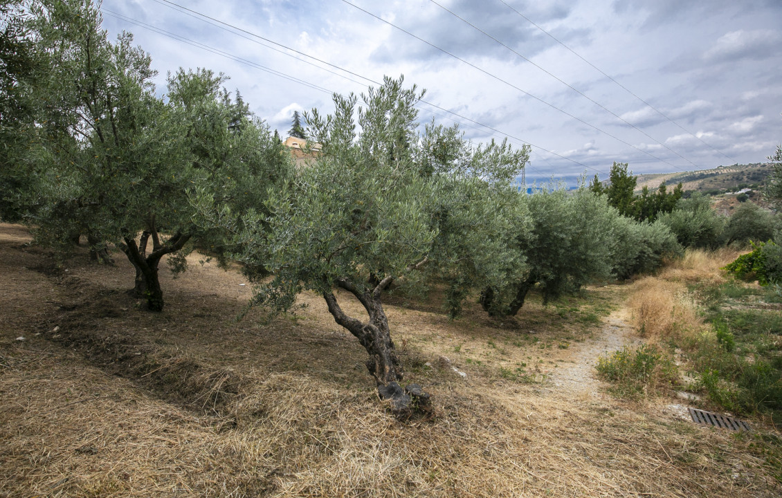 For Sale - Fincas y solares - Huétor de Santillán - del Molino Alto