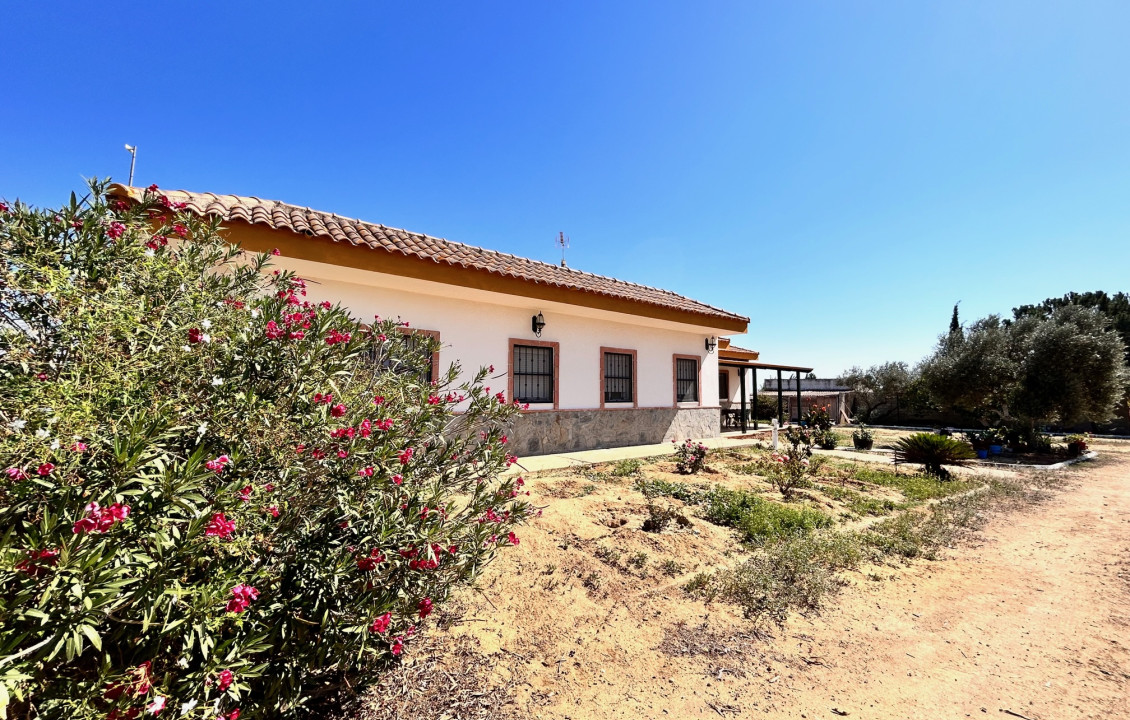 For Sale - Casas o chalets - Utrera - Camino de los Adrianes